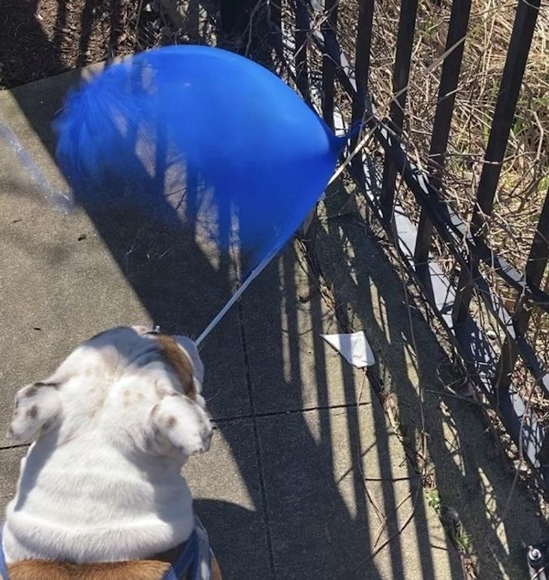 13. Snimio je točan trenutak u kojem se balon probušio. Dakle ovo je skoro pa duh balona!🤣