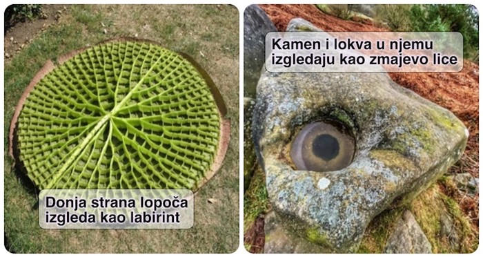 19 ljudi podijelilo je zapanjujuće prizore s kojih ćete teško skinuti pogled