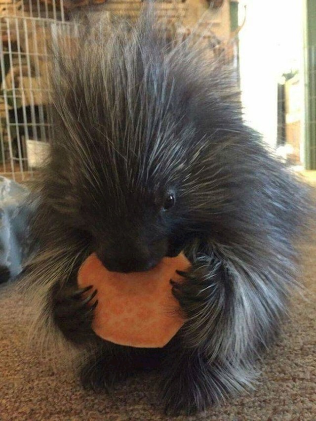 8.