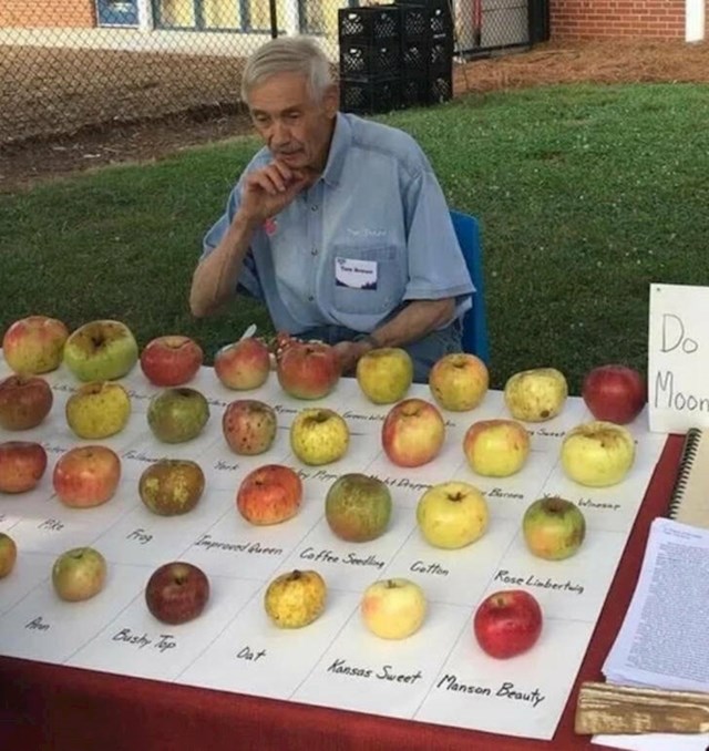 14. Gospodin skuplja sorte jabuka koje više ne postoje