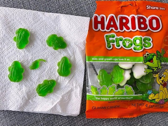 13. Jedan punoglavac među haribo žabama.