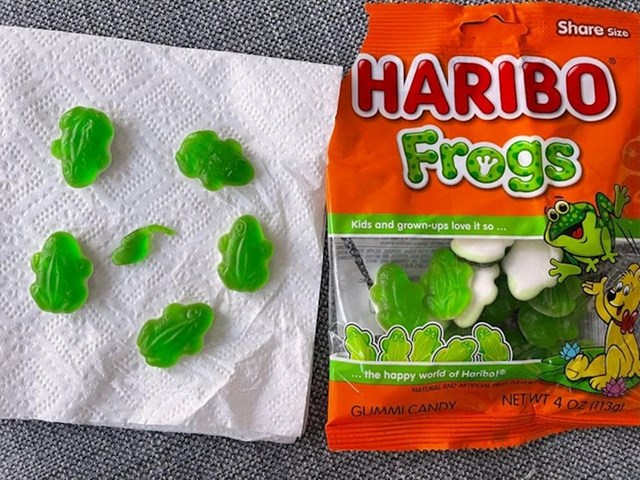 13. Jedan punoglavac među haribo žabama.