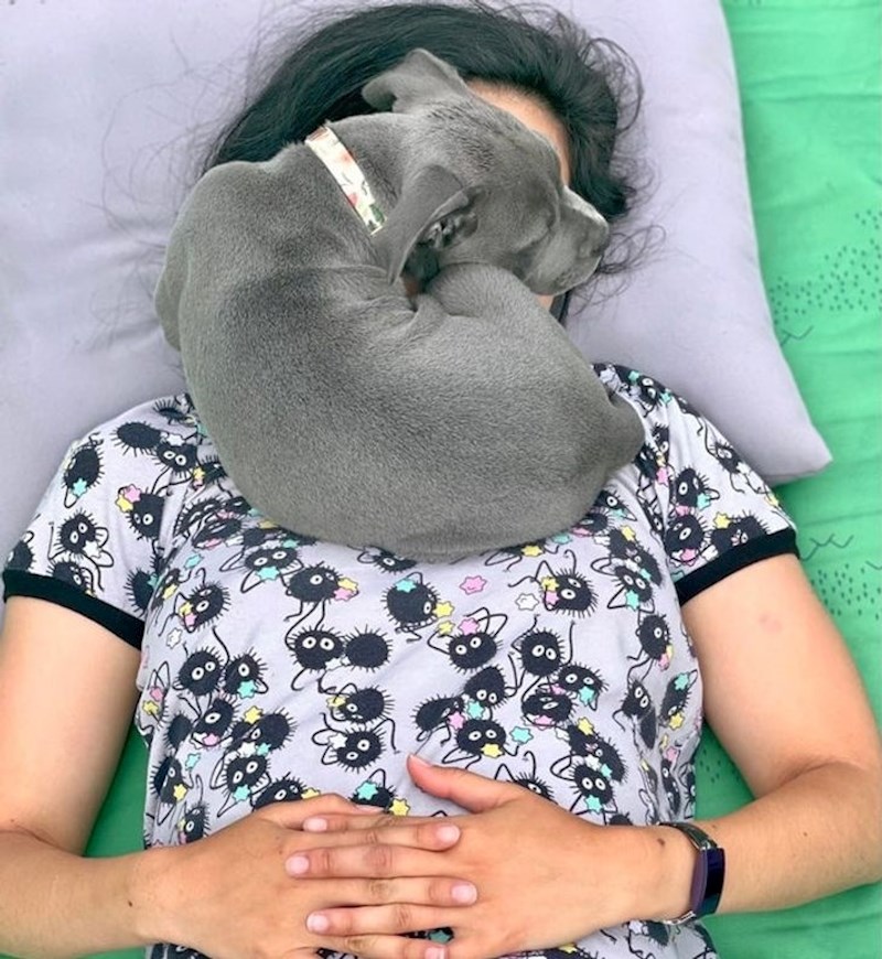 7. Tjedan dana živi kod njih i izgleda da se potpuno udomaćila