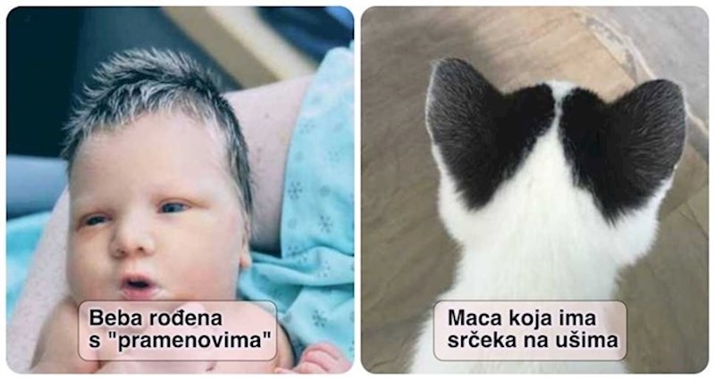 15 ljudi i životinja s jedinstvenim fizičkim obilježjima