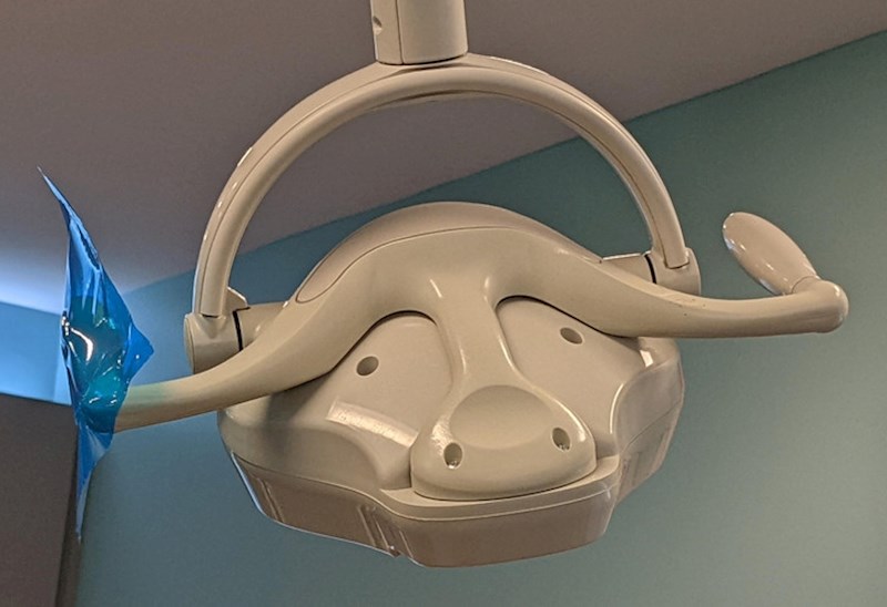 10. Vidite li i vi ovdje bivola?