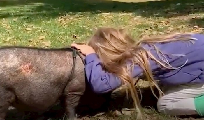 Pogledajte kako je djevojčica odlučila spasiti mini svinjicu, njihovo prijateljstvo će vas dirnuti
