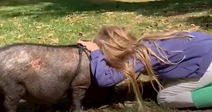 Pogledajte kako je djevojčica odlučila spasiti mini svinjicu, njihovo prijateljstvo će vas dirnuti