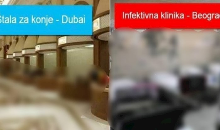 Ostat ćete bez teksta kad vidite usporedbu izgleda štale za konje u Dubaiju i bolnice u Beogradu