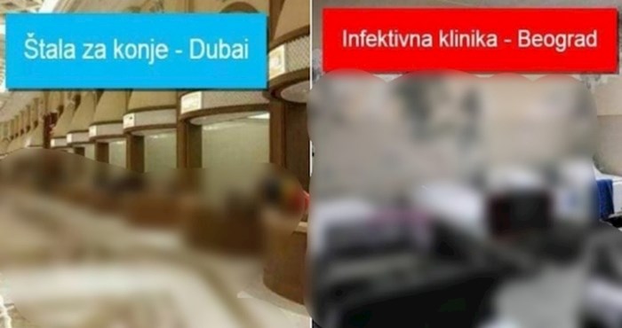 Ostat ćete bez teksta kad vidite usporedbu izgleda štale za konje u Dubaiju i bolnice u Beogradu