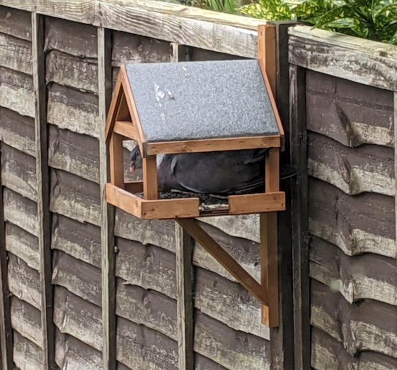 6. Ova kućica za ptice trebala bi biti neprikladna za golubove.