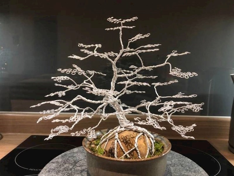 19. Napravila je biljku koju ne može ubiti.🤣