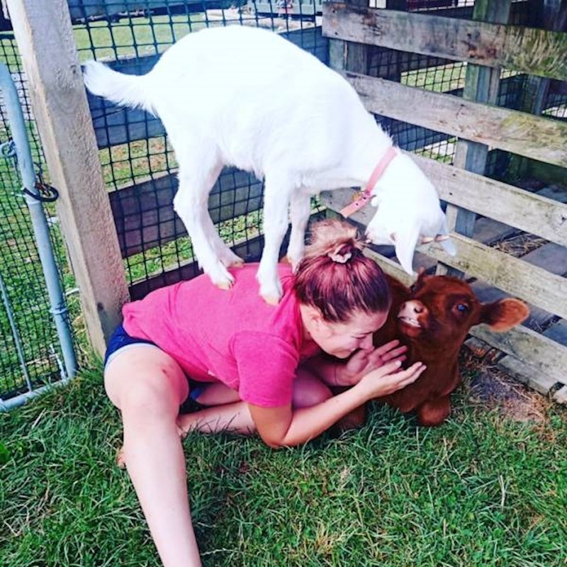 13. I životinje mogu biti itekako ljubomorne