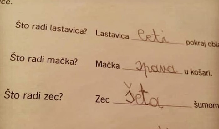 Školarac je brutalno iskreno odgovorio na pitanje za domaću zadaću i razljutio učiteljicu