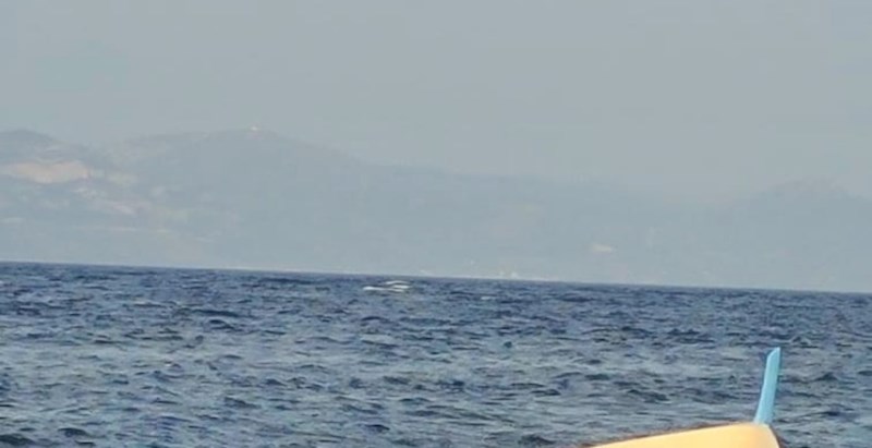 Lik je oduševio tisuće zbog onoga što radi dok vozi čamac; to je pravi Dalmatinac