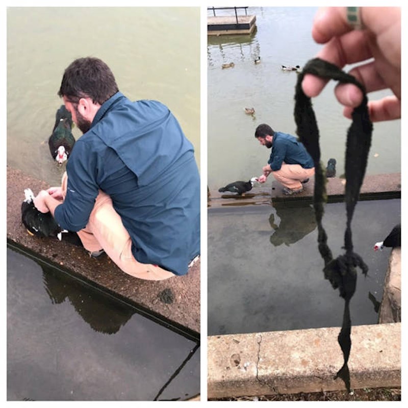 10. "Moj dečko je neki dan spasio patku kojoj se nešto zaplelo oko vrata! Ispao je heroj u mojim očima i što je još važnije, spasio je jedan nevini život!"