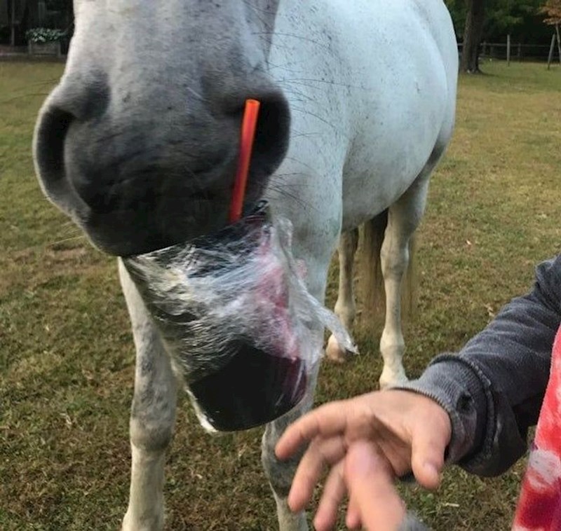 "Ukrao mi je ledenu kavu."
