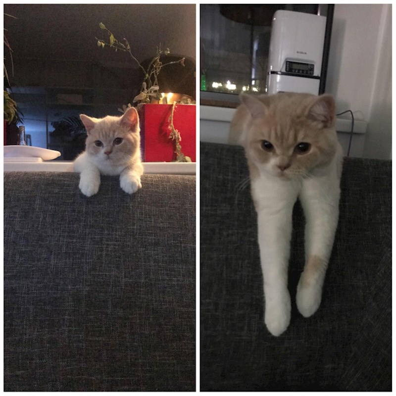 12. Najdraža poza za spavanje, i kad je bila mala, i sad kad je narasla