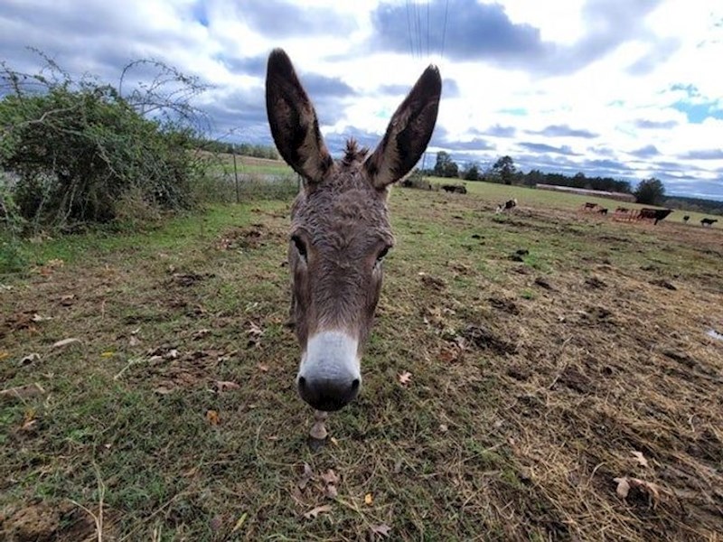 19. Gdje mu je tijelo?