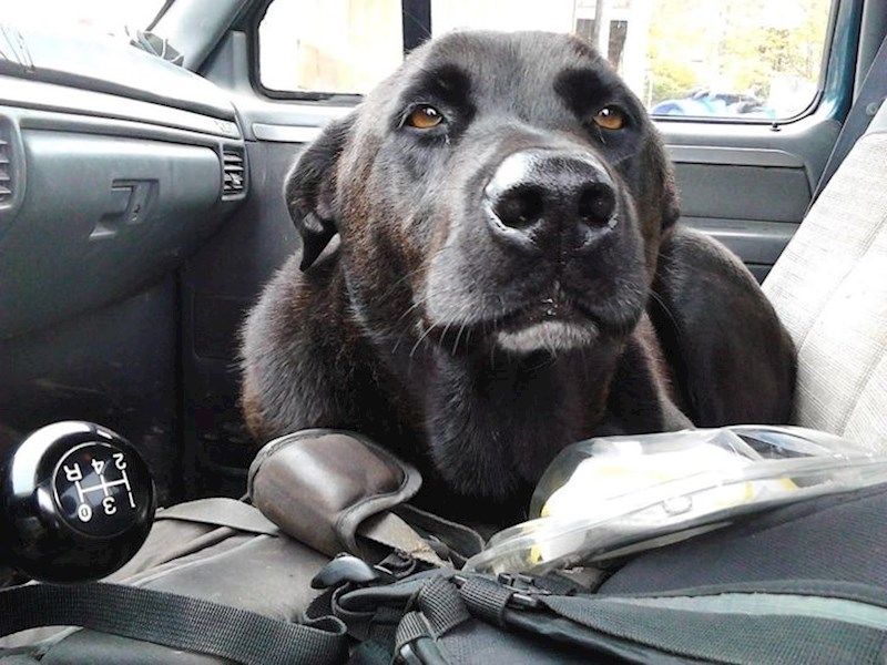 5. Moj dobri dečko ima 14 godina