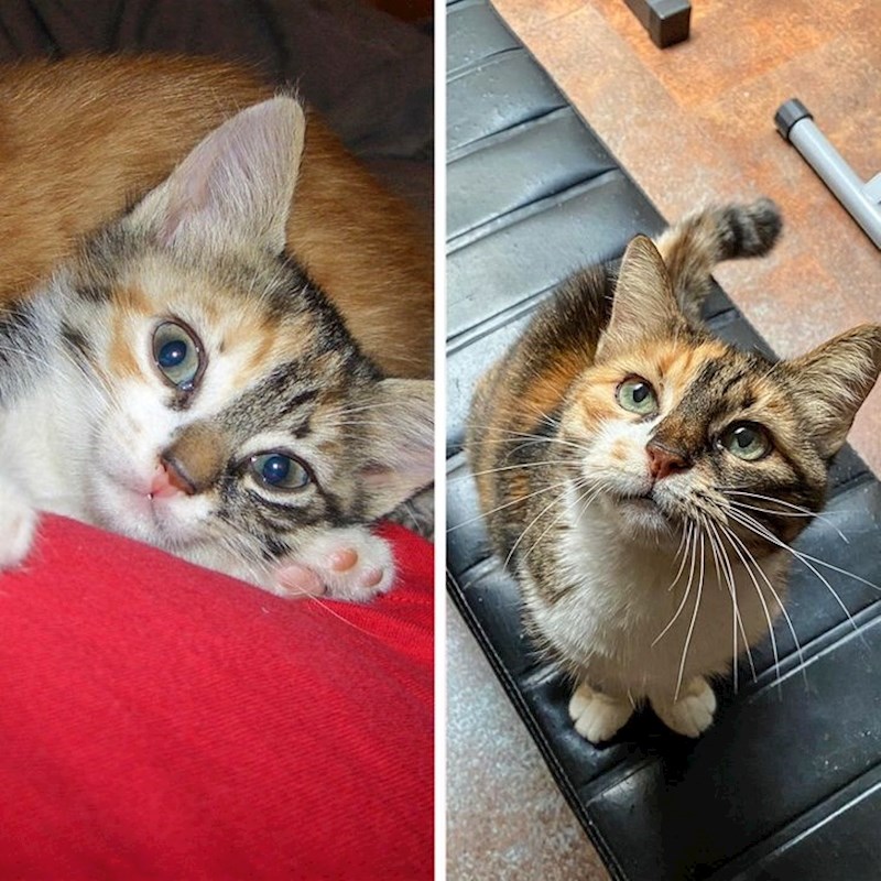 6. I nakon 17 godina je moja mala bebica.🥰