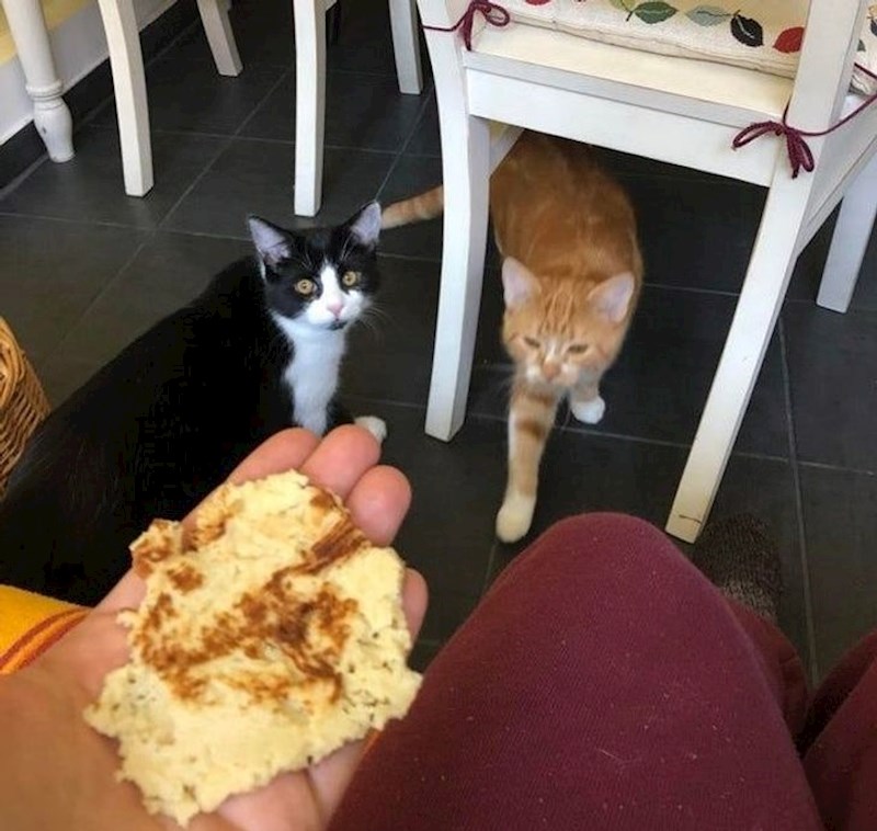 "Uhvatio sam ih kako dijele palačinku."