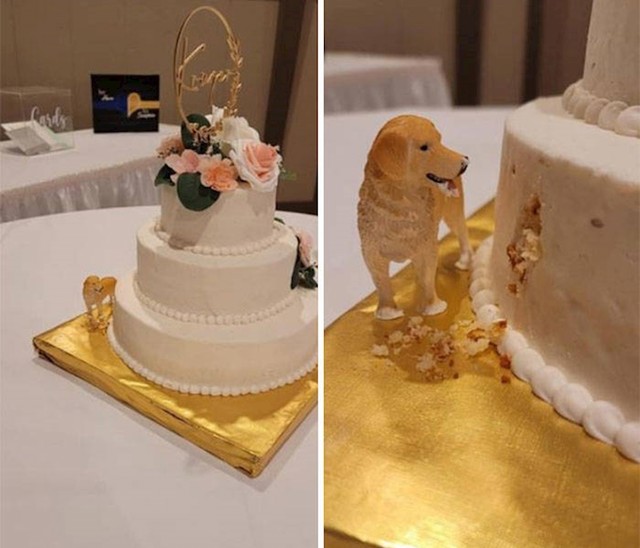 9. Ova slatka torta🥰