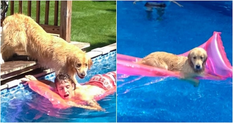 19 smiješnih fotki životinja koje će vam momentalno izmamiti osmjeh na lice