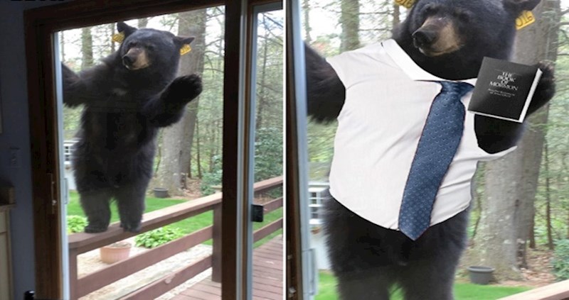 20 urnebesnih fotografija koje nas podsjećaju kako je fotošop super stvar