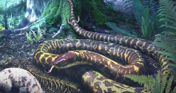 VIDEO 15 izumrlih životinja koje su izgledale kao iz noćne more