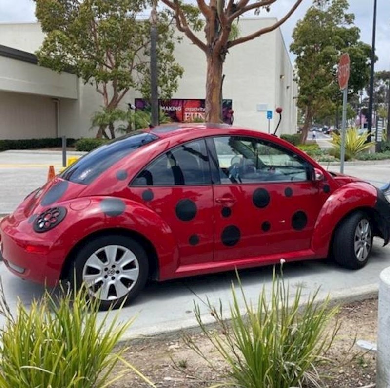 14. Da je bubamara auto, bila bi ovaj