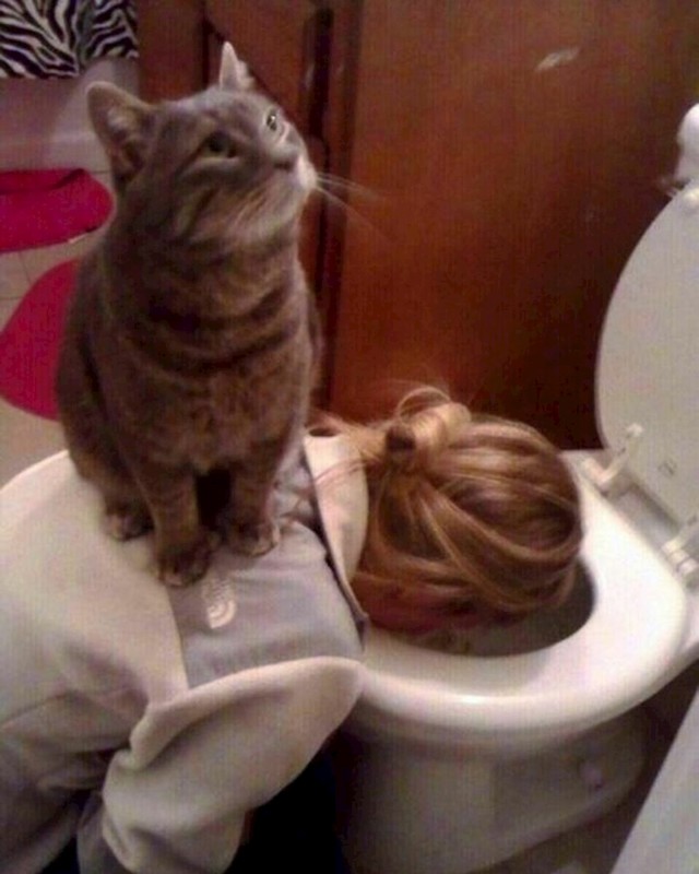 8.