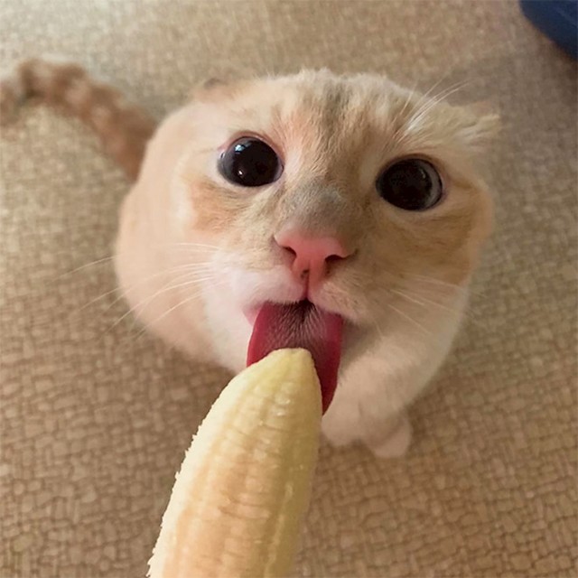 #4