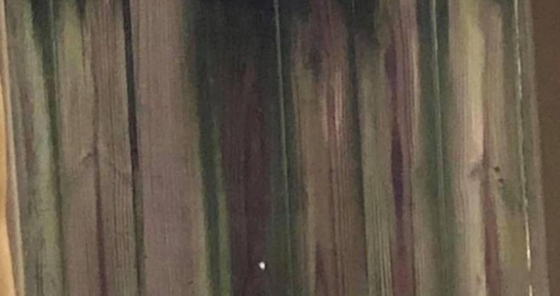 Netko je na ogradi napravio genijalnu instalaciju za hranjenje vjeverica