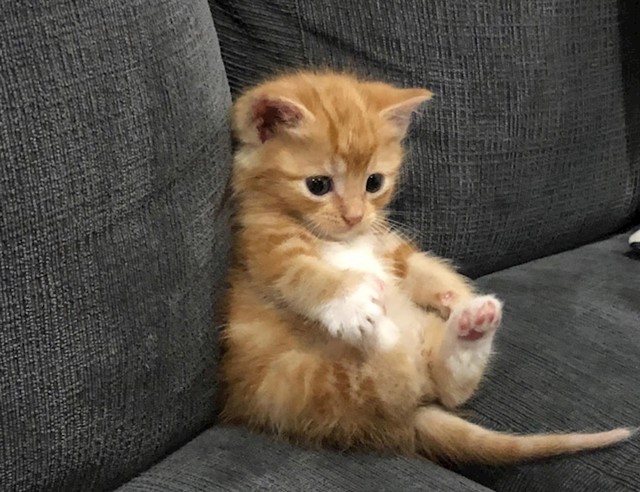4.