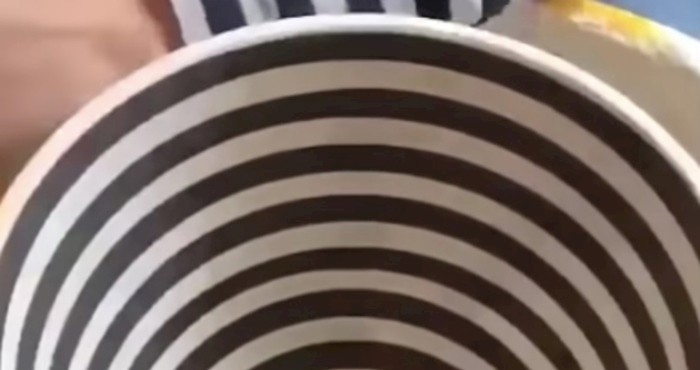 VIDEO Prizori koji su iz nekog razloga jako ugodni našem oku