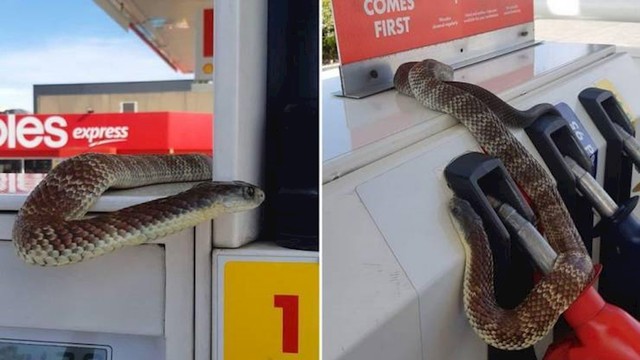 18.