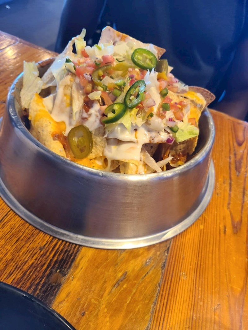 12. Obrok poslužen u zdjeli za pse