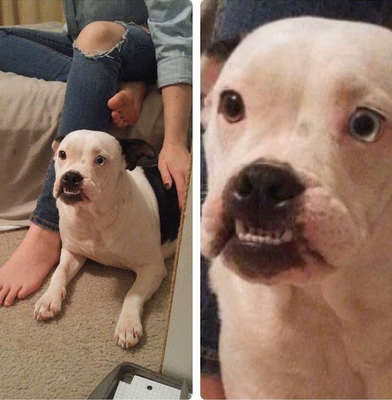 "Kad čuje da je netko otvorio frižider."