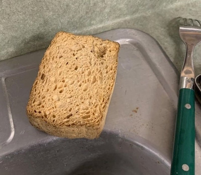 15. Zašto bi netko ovdje ostavio krišku kruha? Samo malo...pa to je spužva...