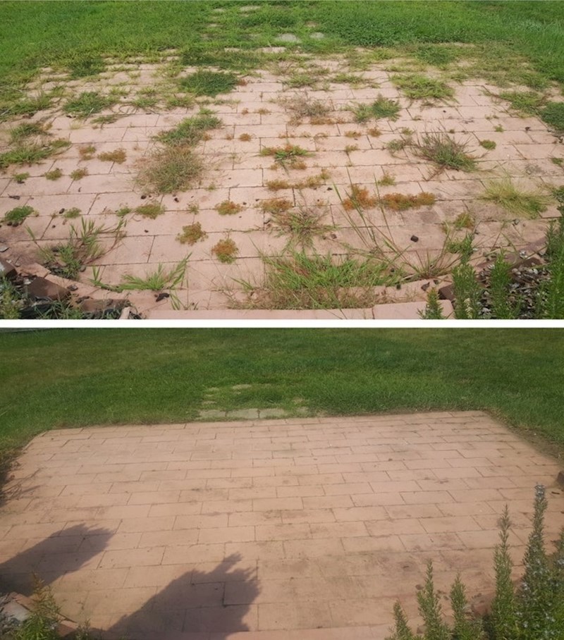 "Presadila sam ovu divlju travu na ostatak travnjaka."