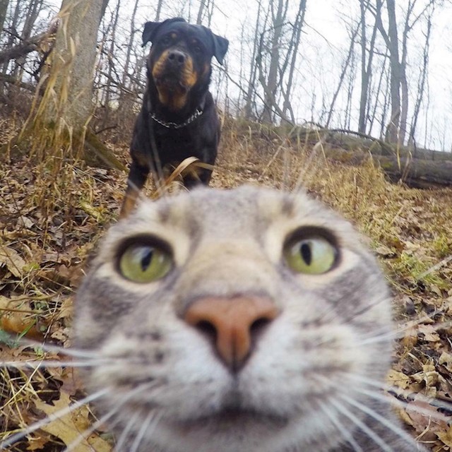 7.