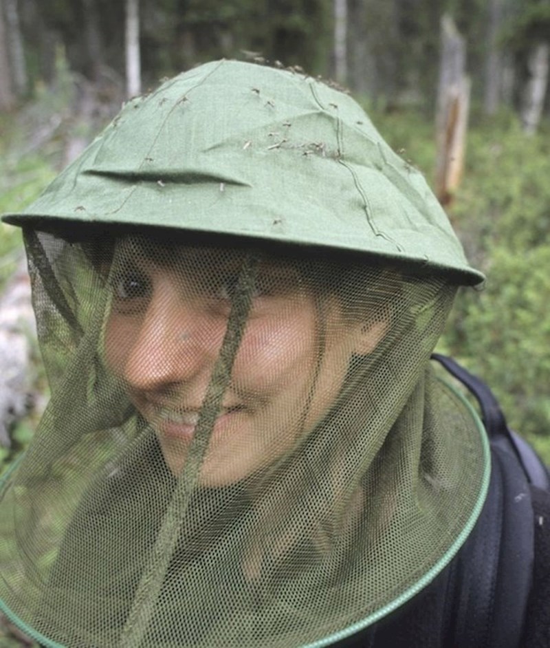 4. Finci se natječu tko će ubiti više komaraca