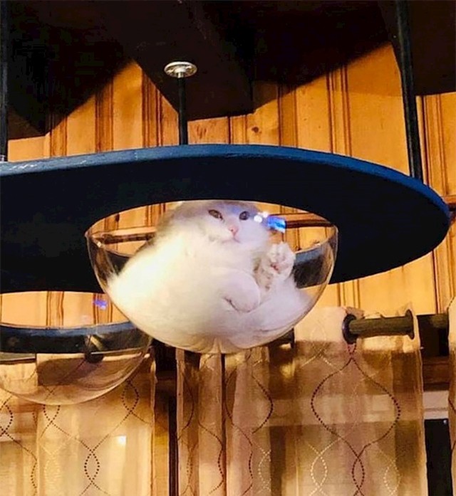 12.
