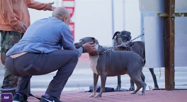 "Doživio sam najoriginalnije priče o ljubavi, suosjećanju, borbi i nadi", rekao je nesvakidašnji veterinar o svom jedinstvenom poslu.