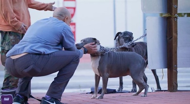 "Doživio sam najoriginalnije priče o ljubavi, suosjećanju, borbi i nadi", rekao je nesvakidašnji veterinar o svom jedinstvenom poslu.