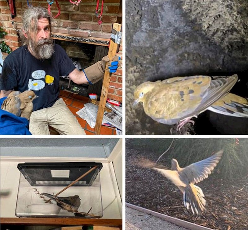 Spašavanje zarobljene ptice.