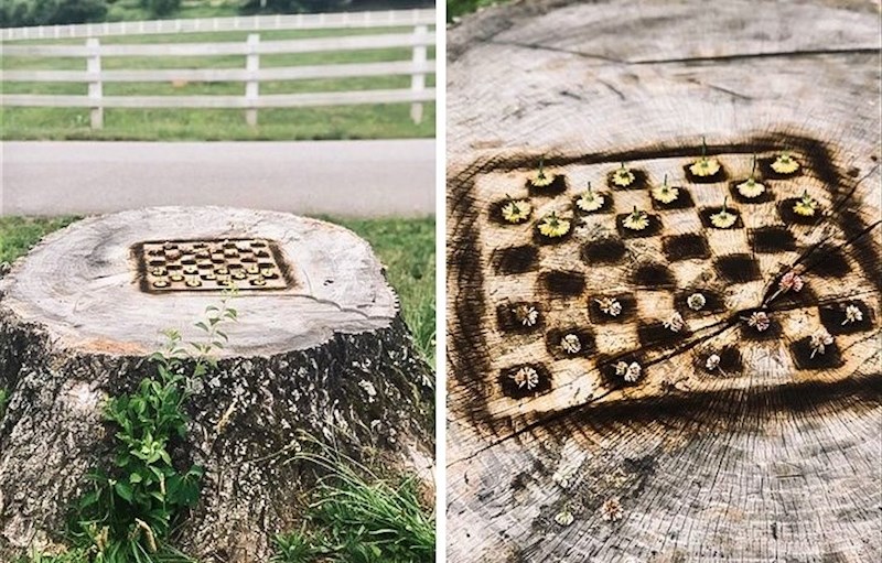 14. Vlasnici imanja morali su srušiti ovo drvo jer ga je udarila munja i postalo je opasno za okolinu. No odlučili su pronaći način da nastave uživati u njemu!😊