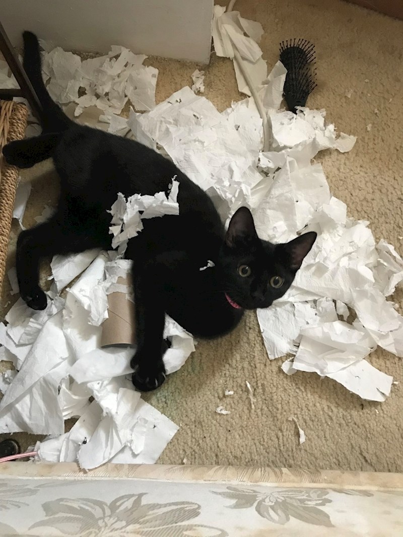 14. "Ima još toga?"