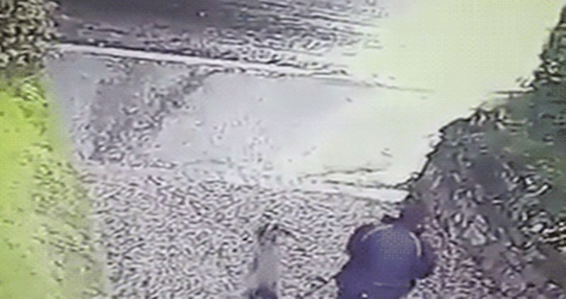 Izveo je pse u šetnju, situacija se skroz omakla kontroli