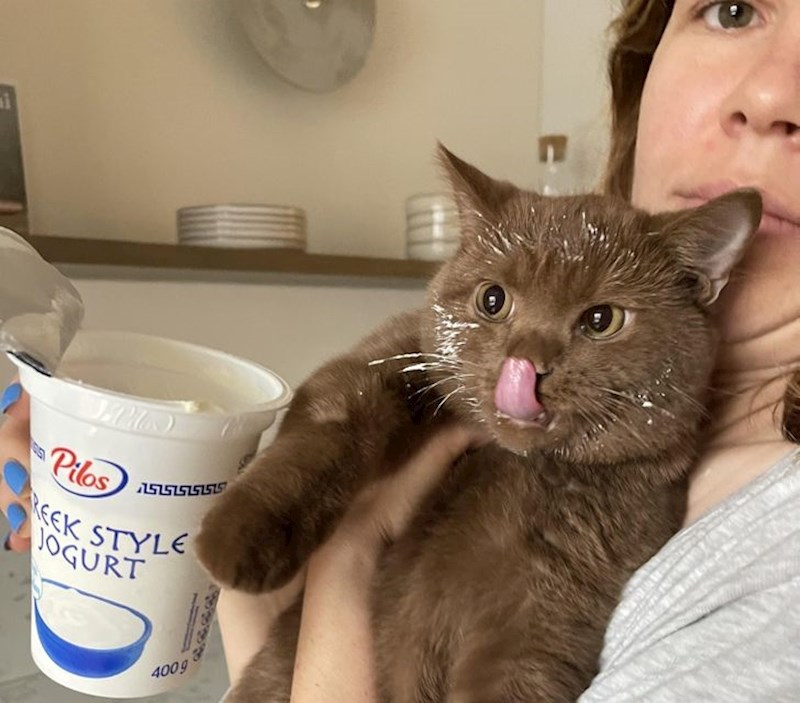 9. Otkrila je gdje stoji jogurt